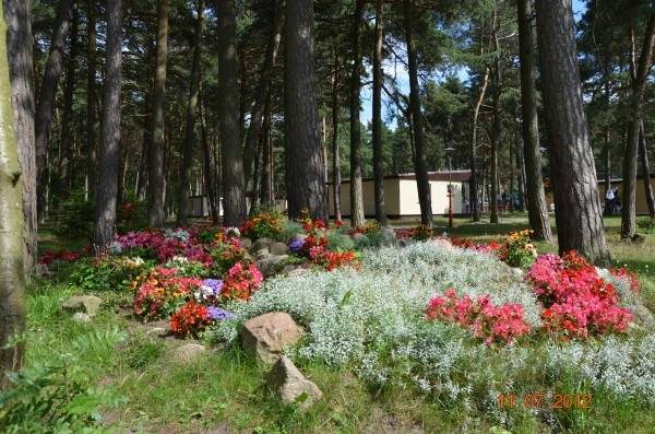 Na fotografii przedstawiony jest ogród przy ośrodku wczasowym KOMANDOR w Pogorzelicy