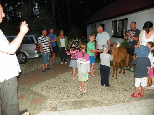 Dzieci mają nad morzem specjalne potrzeby, dlatego pokój Dom Gościnny ANDY z Pobierowa przygotował szereg udogodnień dla najmłodszych gości.