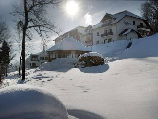 Śnieżny pejzaż jako tło dla hotelu Hotel DZIKI POTOK ***  Konferencje & SPA w Karpaczu.